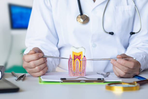 Best Emergency Root Canal Treatment in Maywood, IL